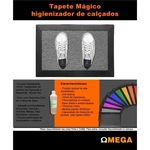 Ficha técnica e caractérísticas do produto Tapete higienizador + Desinfetante 250 ML