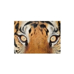 Ficha técnica e caractérísticas do produto Tiger Eyes poli¨¦ster imperme¨¢vel material colorido Impress?o Toalha de Mesa 137 * 183