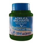 Ficha técnica e caractérísticas do produto Tinta Acrílica Brilhante 100ml Verde Oliva 545 Acrilex