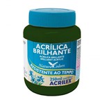 Ficha técnica e caractérísticas do produto Tinta Acrílica Brilhante 250ml Verde Oliva 545 Acrilex