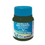 Ficha técnica e caractérísticas do produto Tinta Acrílica Brilhante 37ml Verde Oliva 545 Acrilex