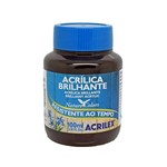 Ficha técnica e caractérísticas do produto Tinta Acrilica Brilhante Acrilex 100Ml Preto