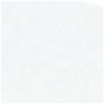 Ficha técnica e caractérísticas do produto Tinta Acrilica Brilhante Nature Colors Acrilex Resistente ao Tempo 100ml 519 - Branco Acrilex