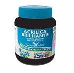 Ficha técnica e caractérísticas do produto Tinta Acrílica Brilhante Preto 250ml - 520 - Acrilex