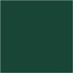 Ficha técnica e caractérísticas do produto Tinta PVA Fosca para Artesanato - Acrilex 571 - Verde Esmeralda - Verde Musgo