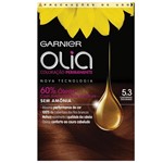 Ficha técnica e caractérísticas do produto Tintura Permanente Garnier Olia 5.3 Castanho Dourado