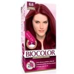 Ficha técnica e caractérísticas do produto Tintura Vermelho Intenso Vibrante Mini Kit Biocolor 6.6
