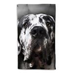 Ficha técnica e caractérísticas do produto Toalha de Banho Cachorro Labrador Retriever Portrait 135x70cm - Bege