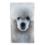 Ficha técnica e caractérísticas do produto Toalha de Banho Cachorro Setter Portrait 135x70cm - Bege