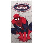 Ficha técnica e caractérísticas do produto Toalha de Banho Felpuda Spider Man Ultimate Lepper (71) - Vermelho