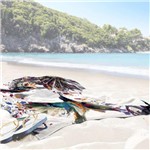 Ficha técnica e caractérísticas do produto Toalha de Praia / Banho Beija Flor - Love Decor