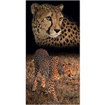 Ficha técnica e caractérísticas do produto Toalha de Praia Buettner Veludo Cheetah Estampa Reativa 0,76cm X 1,52cm