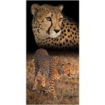 Ficha técnica e caractérísticas do produto Toalha de Praia Buettner Veludo Estampado Cheetah 0,76cm X 1,52cm - Único