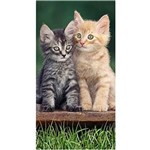 Ficha técnica e caractérísticas do produto Toalha de Praia Buettner Veludo Two Happy Cats Estampa Reativa 0,76cm X 1,52cm