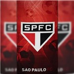 Ficha técnica e caractérísticas do produto Toalha de Praia Dohler Velour São Paulo 02