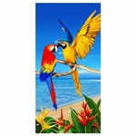 Ficha técnica e caractérísticas do produto Toalha de Praia Estampada 76 X 152 - Macaws - Única