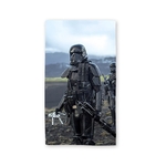 Ficha técnica e caractérísticas do produto Toalha de Praia Star Wars Death Trooper Vertical