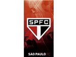 Ficha técnica e caractérísticas do produto Toalha de Praia Velour São Paulo Dohler
