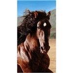 Ficha técnica e caractérísticas do produto Toalha de Praia Veludo Horse - Buettner