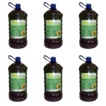 Tok Bothânico Babosa Shampoo 1,9 L (kit C/03)
