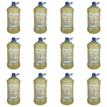 Ficha técnica e caractérísticas do produto Tok Bothânico Camomila Shampoo 1,9 L (Kit C/12)