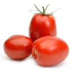 Ficha técnica e caractérísticas do produto Tomate Italiano 500g Orgânico - Terra Frutas Orgânicas