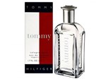 Ficha técnica e caractérísticas do produto Tommy Hilfiger Tommy Cologne - Perfume Masculino Eau de Toilette 100 Ml