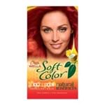 Ficha técnica e caractérísticas do produto Coloração Soft Color Cereja Intenso 6645 Tonalizante Creme Soft Color Kit Cereja Intenso 6645