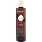 Ficha técnica e caractérísticas do produto Trattabrasil Shampoo Coco In Love - 290 ml