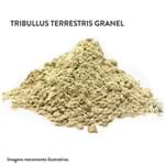 Ficha técnica e caractérísticas do produto Tribullus Terrestris Granel (500G)