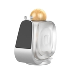 Ficha técnica e caractérísticas do produto Universal Frasco de perfume perfumado Magnetic Car M¨®vel Suporte Phone Holder