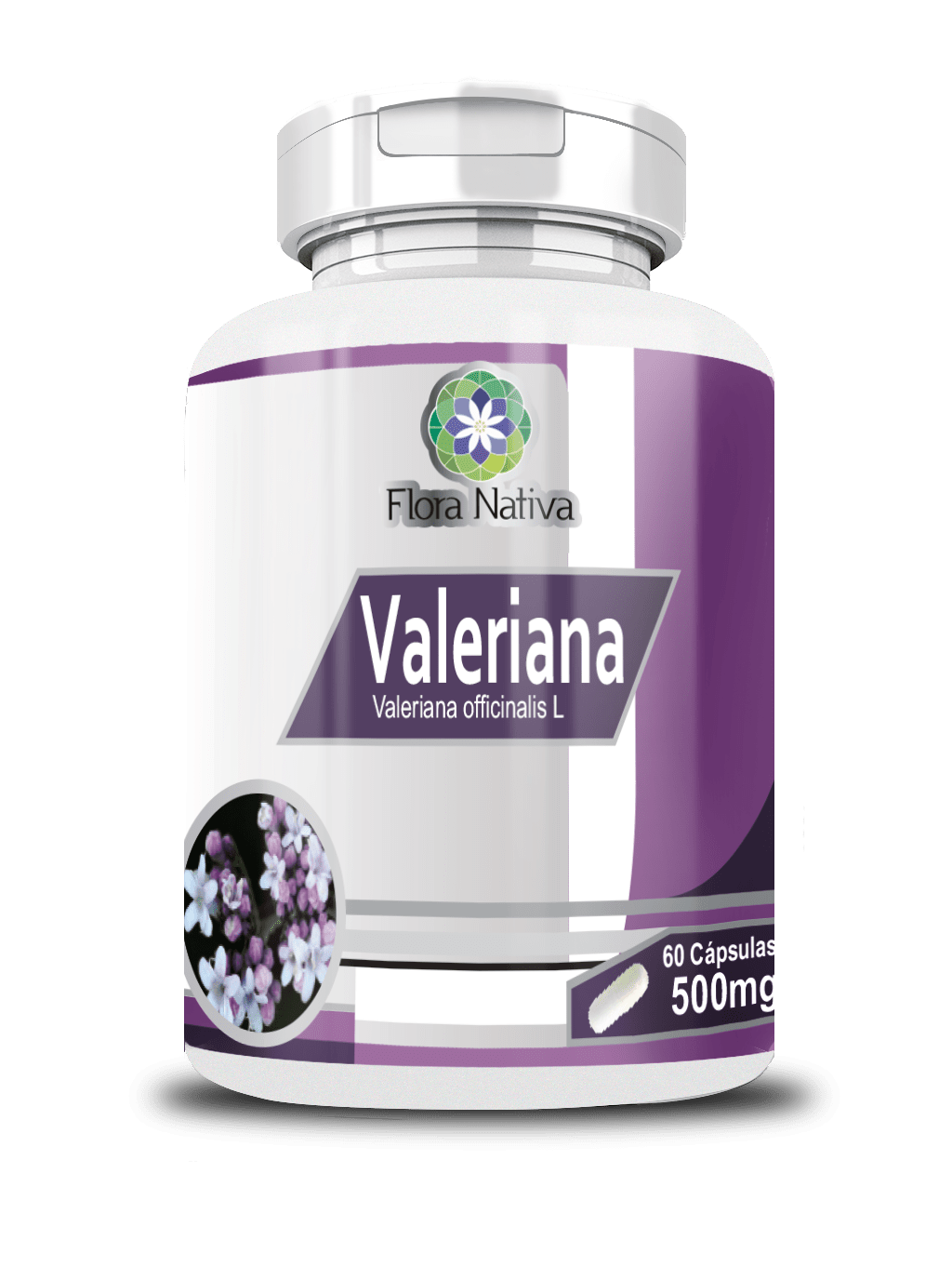 Ficha técnica e caractérísticas do produto Valeriana 60 Cápsulas