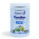 Ficha técnica e caractérísticas do produto Vaselina Ice Menta Com Cravo 900g - Hornet