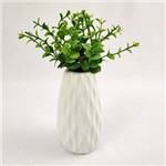 Ficha técnica e caractérísticas do produto Vasinho Branco C/ Planta Vaso 12cm Decoração