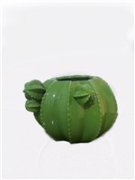 Ficha técnica e caractérísticas do produto Vaso Cacto Verde M Bon Gourmet - Bom Gourmet
