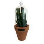 Ficha técnica e caractérísticas do produto Vaso com Tampa de Vidro Candelabra Cactus Verde e Laranja - Urban