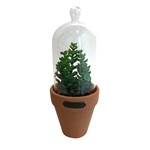 Ficha técnica e caractérísticas do produto Vaso com Tampa de Vidro Candelabra Cactus Verde - Urban