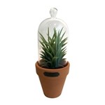 Ficha técnica e caractérísticas do produto Vaso com Tampa Vidro Candelabra Cactus Urban Verde