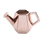 Ficha técnica e caractérísticas do produto Vaso de Cerâmica 10cm Regador Prestige - Rose