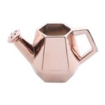 Ficha técnica e caractérísticas do produto Vaso de Cerâmica 13cm Regador Prestige - Rose