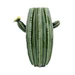 Ficha técnica e caractérísticas do produto Vaso de Cerâmica Hedge Cactus Urban Verde