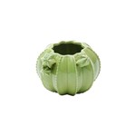 Ficha técnica e caractérísticas do produto Vaso de Cerâmica Tipo Cactos 15X15X14cm Verde