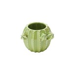 Ficha técnica e caractérísticas do produto Vaso de Ceramica Tipo Cactos - F9-25666