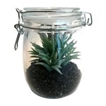 Ficha técnica e caractérísticas do produto Vaso de Vidro Aloe Cactus Urban
