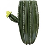 Ficha técnica e caractérísticas do produto Vaso Decorativo de Cerâmica Hedge Cactus 20cm X 12,5cm X 25,5cm Urban Verde