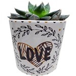 Ficha técnica e caractérísticas do produto Vaso Decorativo de Cerâmica Love And Flowers 14,2cm X 14cm Urban Branco