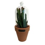 Ficha técnica e caractérísticas do produto Vaso Decorativo de Vidro com Tampa Candelabra Cactus Urban - H40910