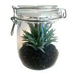 Ficha técnica e caractérísticas do produto Vaso Decorativo de Vidro com Tampa Hermética Aloe Cactus Urban - H40916