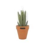 Ficha técnica e caractérísticas do produto Vaso em Vidro com Tampa Urban Cactus 8,9x22cm Verde / Laranja