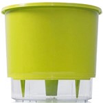 Ficha técnica e caractérísticas do produto Vaso Raiz Auto Irrigável Rainbow Verde Claro 12cm X 11cm